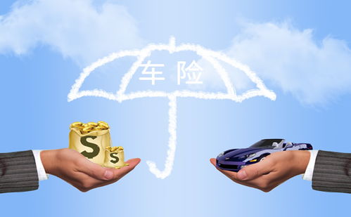 保險(xiǎn)產(chǎn)品營銷策劃方案全解析 從策略到執(zhí)行的完整框架